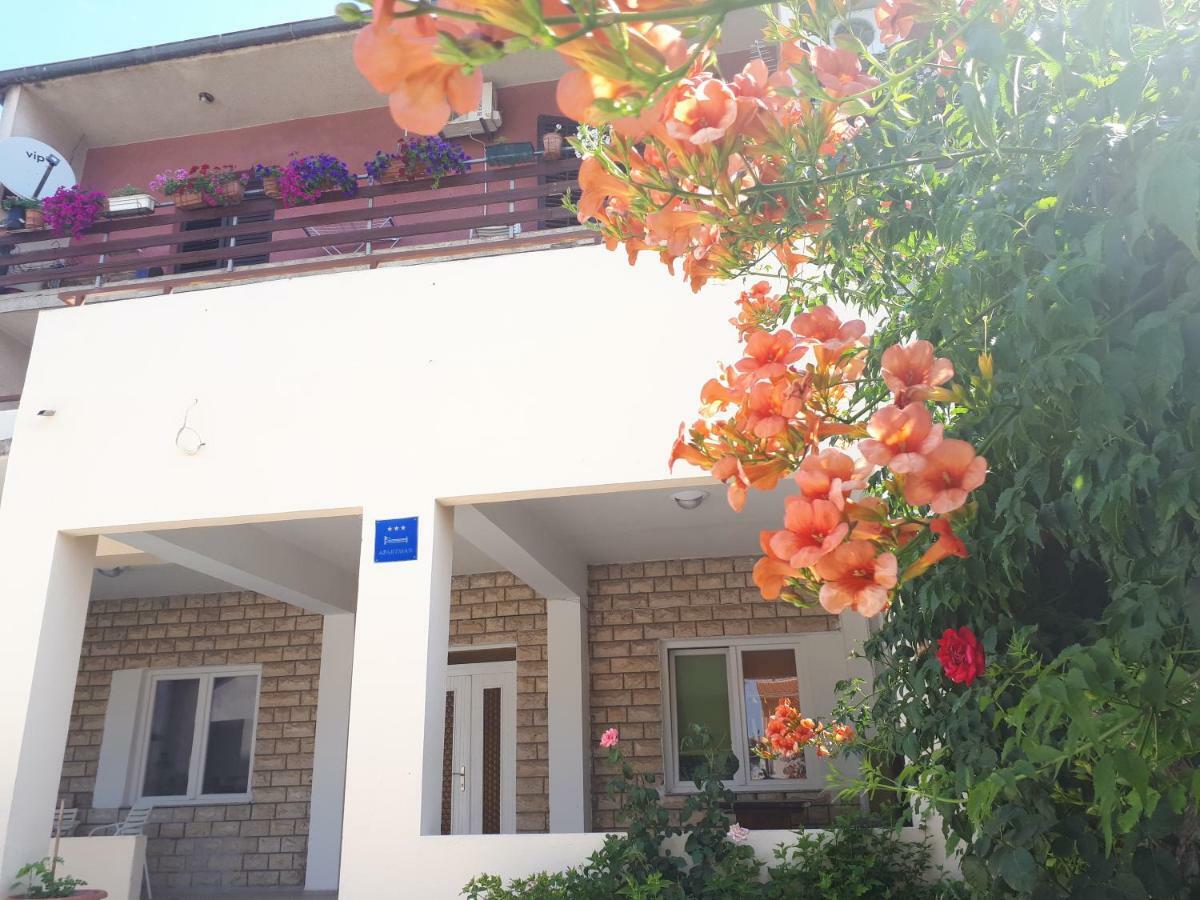 M&I Apartment Zadar Eksteriør bilde